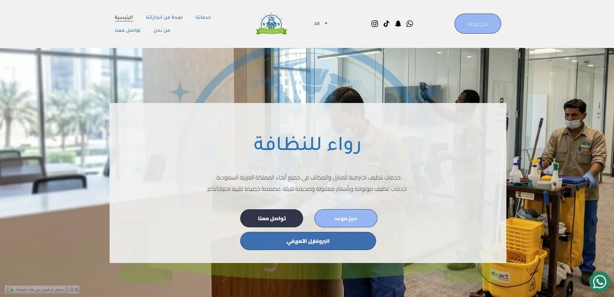 RIWAA Clean website preview